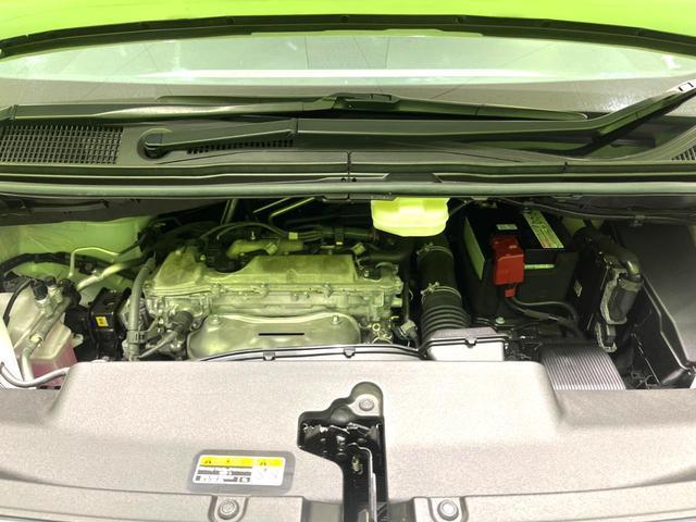 24664535_carP_l_18.jpg