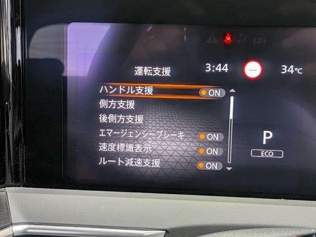 25426202_carP_l_11.jpg