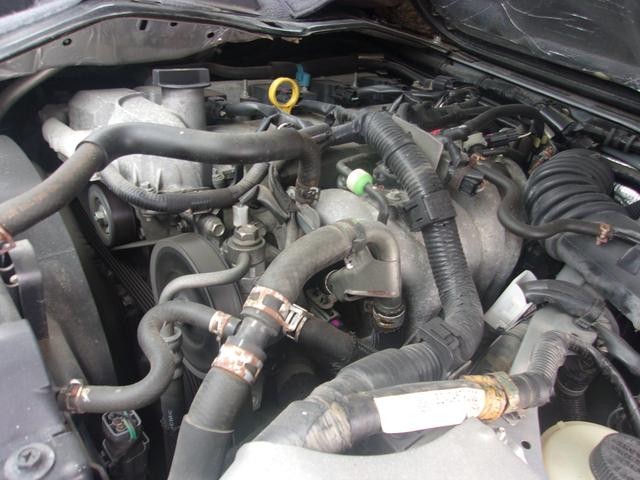 0204560A30260807W00208.jpg