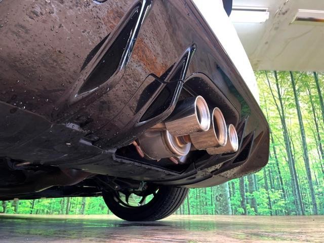 26402153_carP_l_20.jpg