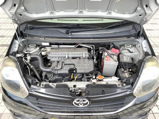 23735065_carP_l_7.jpg