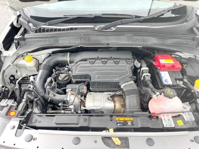24994285_carP_l_18.jpg