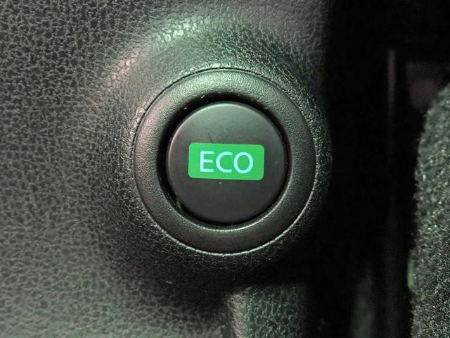 0204644A30260801W00410.jpg