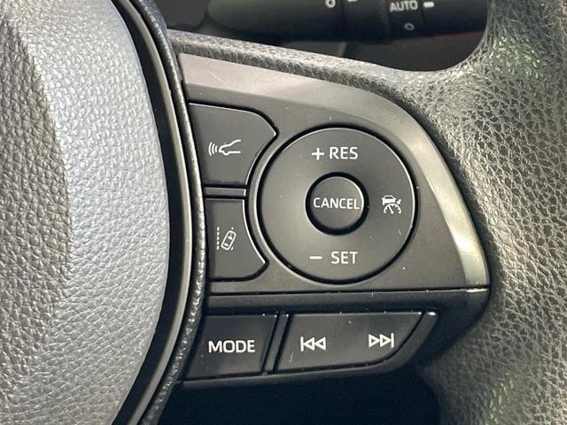 26534639_carP_l_13.jpg