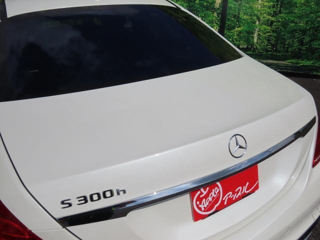 26190153_carP_l_16.jpg