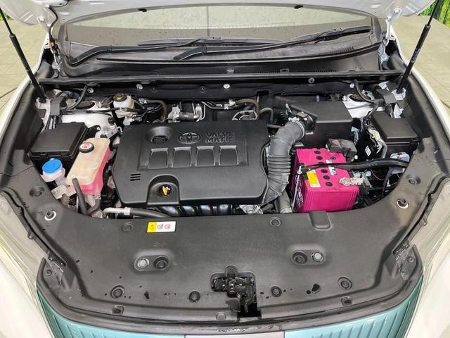 25847864_carP_l_16.jpg