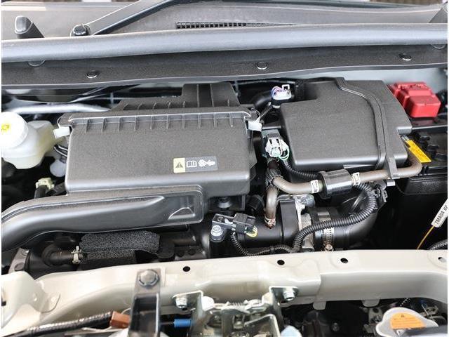 24406694_carP_l_9.jpg