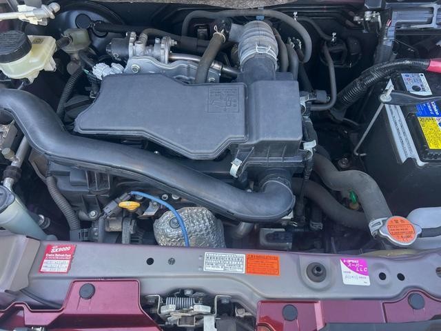 25694726_carP_l_16.jpg
