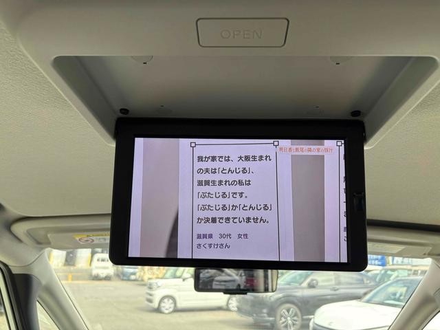 0702900A30261019W00305.jpg