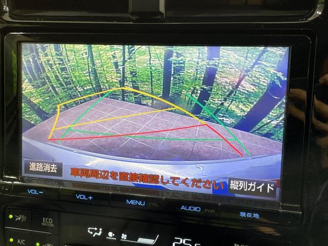 23735120_carP_l_10.jpg