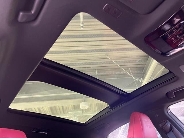 26882554_carP_l_4.jpg