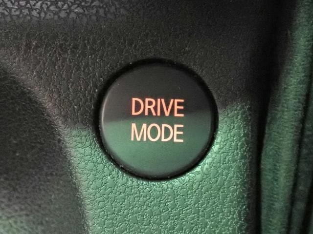 0203825A30260705W00509.jpg
