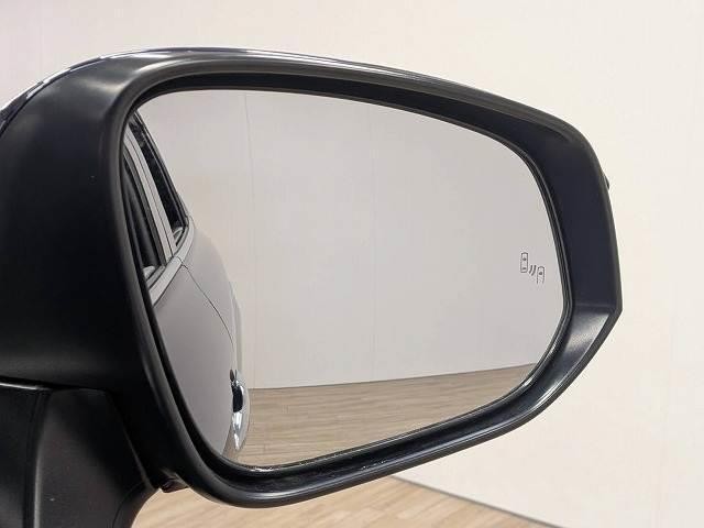 26224868_carP_l_14.jpg