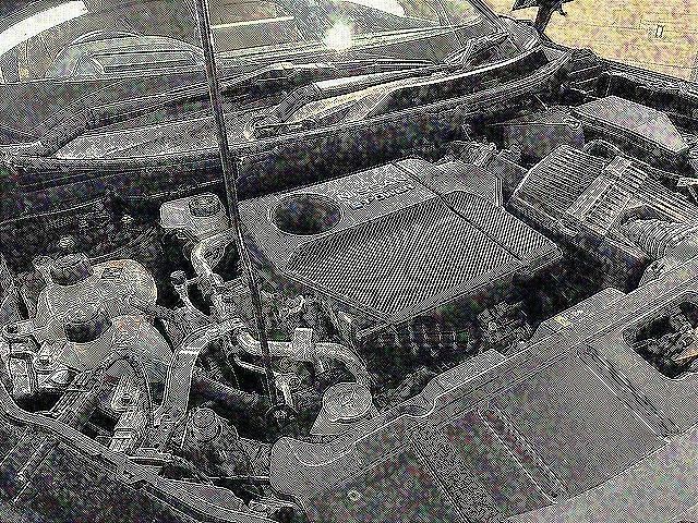 24720541_carP_l_7.jpg