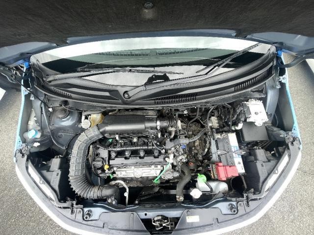 25572545_carP_l_20.jpg