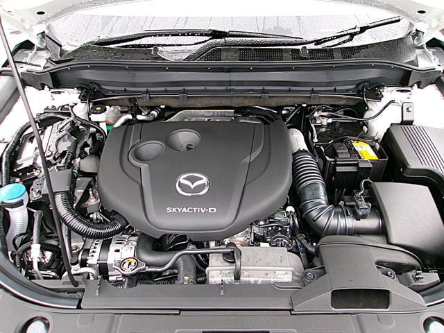 0400014A30260501W00315.jpg