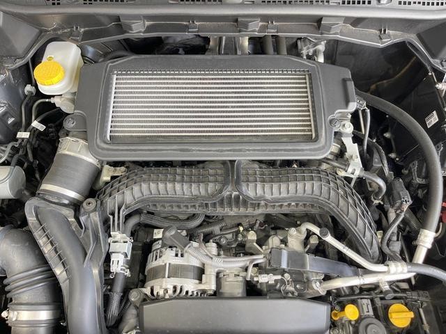 26924812_carP_l_16.jpg