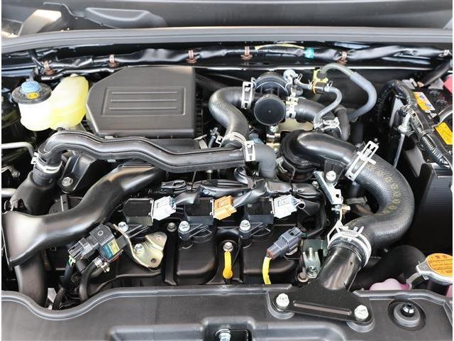 24406700_carP_l_16.jpg