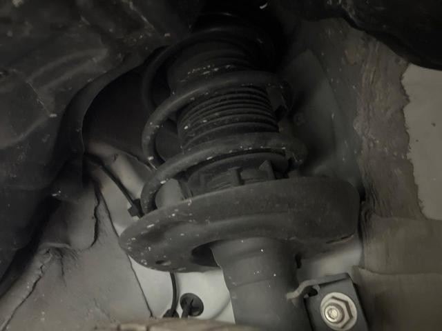 25571485_carP_l_20.jpg