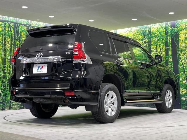 26645335_carP_l_18.jpg