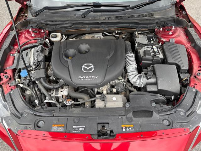 0540946A30260706W00619.jpg