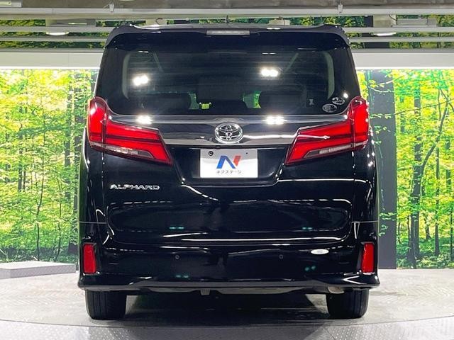 26645379_carP_l_11.jpg