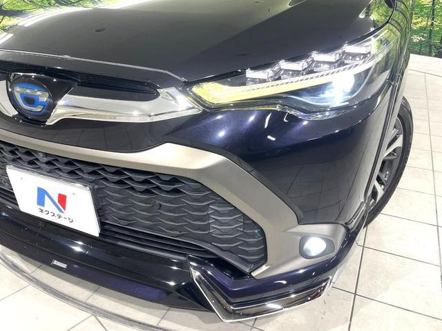 26861384_carP_l_7.jpg