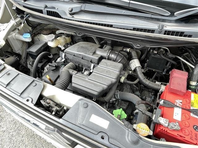 25592300_carP_l_16.jpg