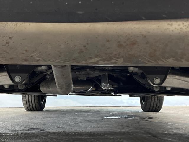 26022591_carP_l_20.jpg