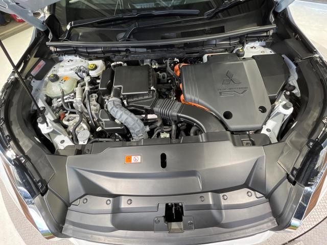 26534737_carP_l_16.jpg