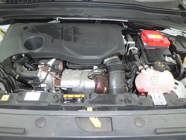 24767990_carP_l_17.jpg