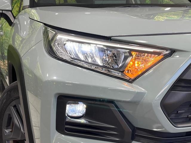 25694538_carP_l_6.jpg