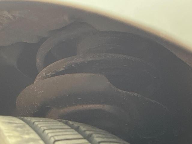 25865961_carP_l_20.jpg