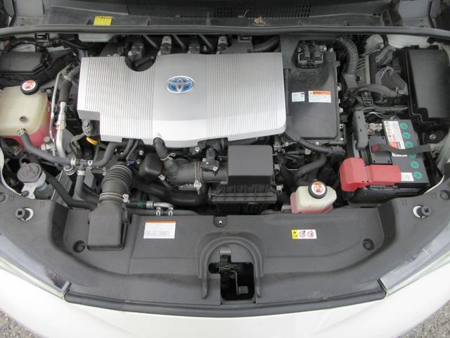 23790013_carP_l_11.jpg