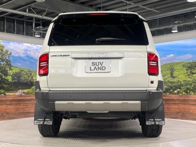 26861886_carP_l_12.jpg