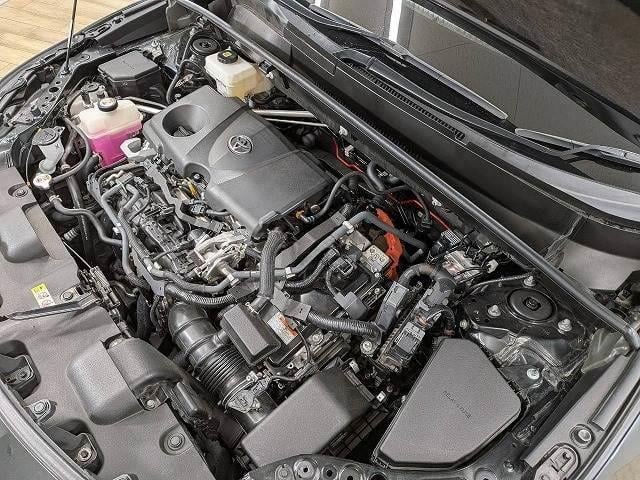 0203985A20260822D00113.jpg