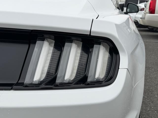 9571967A30250426W00115.jpg
