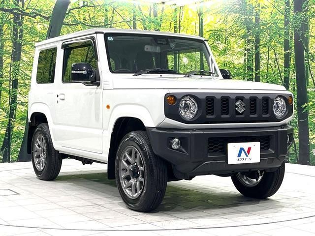 26924768_carP_l_12.jpg