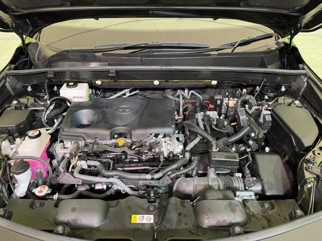 26491432_carP_l_16.jpg