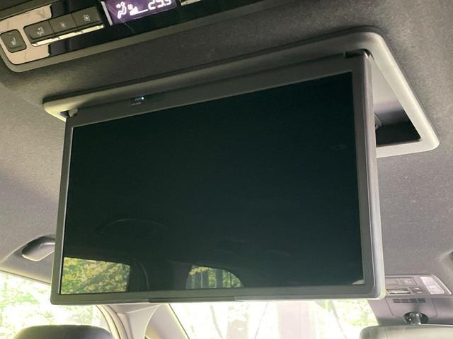 23987391_carP_l_4.jpg