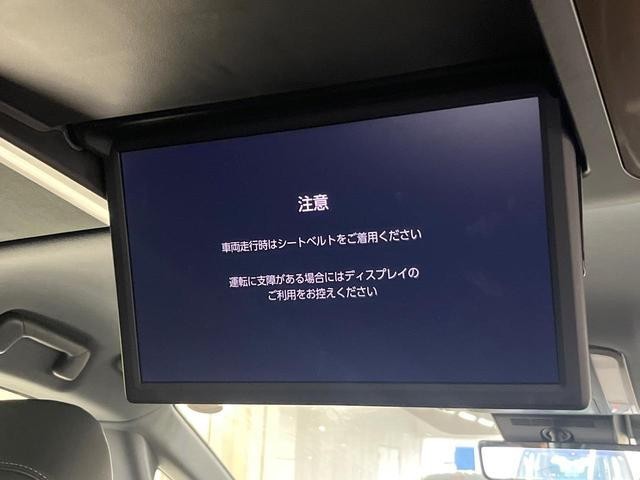 25178906_carP_l_10.jpg