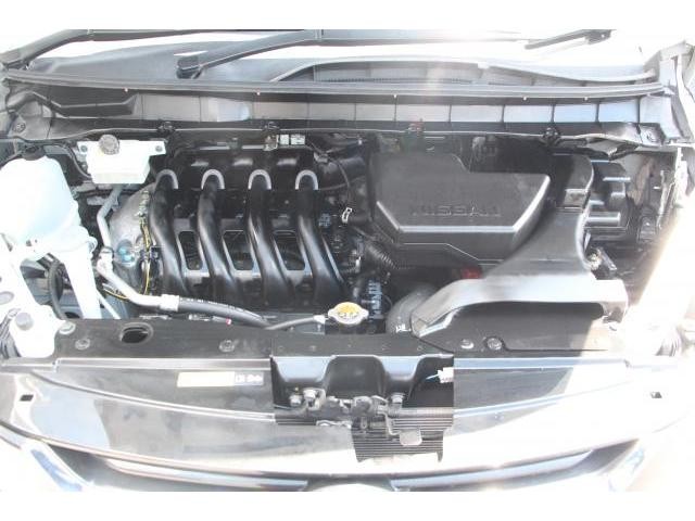 25695137_carP_l_17.jpg