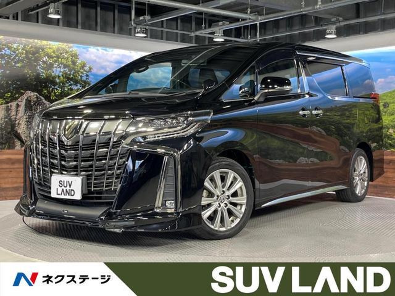 2020 Toyota Alphard, photo 1 of 1