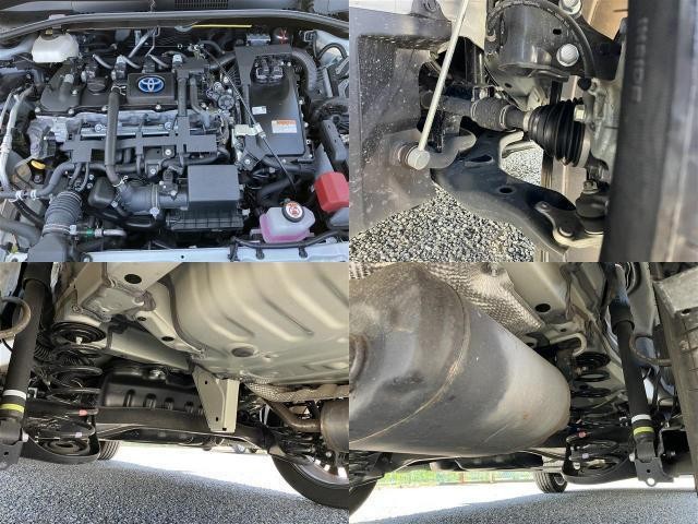 25533192_carP_l_19.jpg