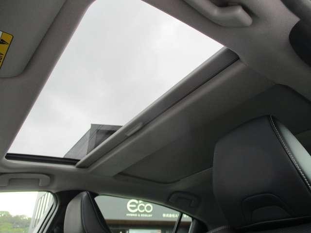 26428005_carP_l_9.jpg