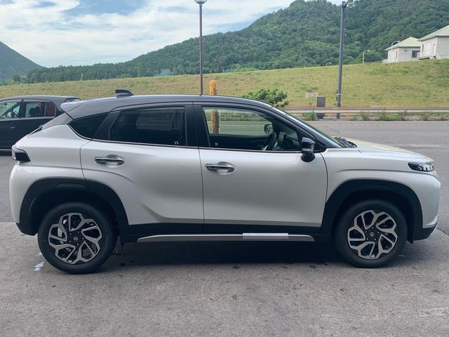 0121176A30260531W00110.jpg