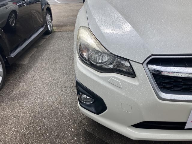 26532750_carP_l_4.jpg