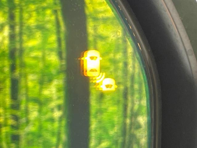 23987407_carP_l_13.jpg