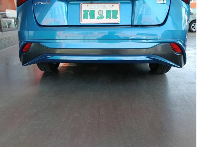 23803280_carP_l_11.jpg