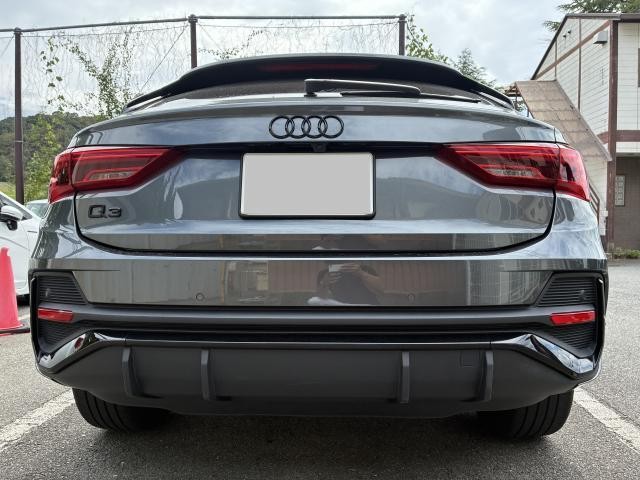 26193910_carP_l_6.jpg